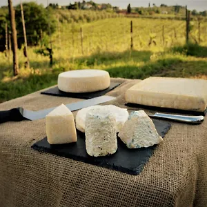 Fattoria Le Caprine Couette-café Gambassi Terme